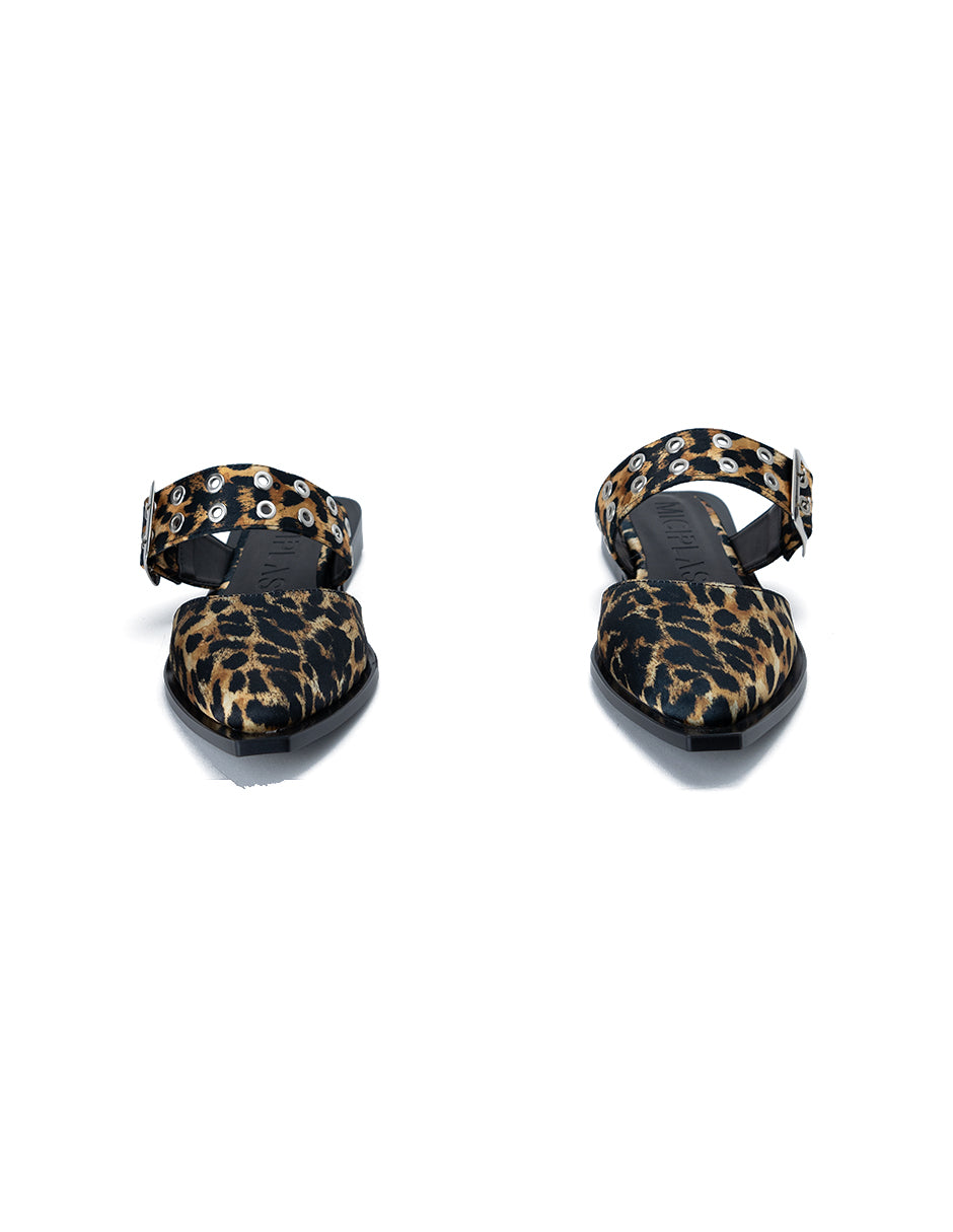Italia Leopardo
