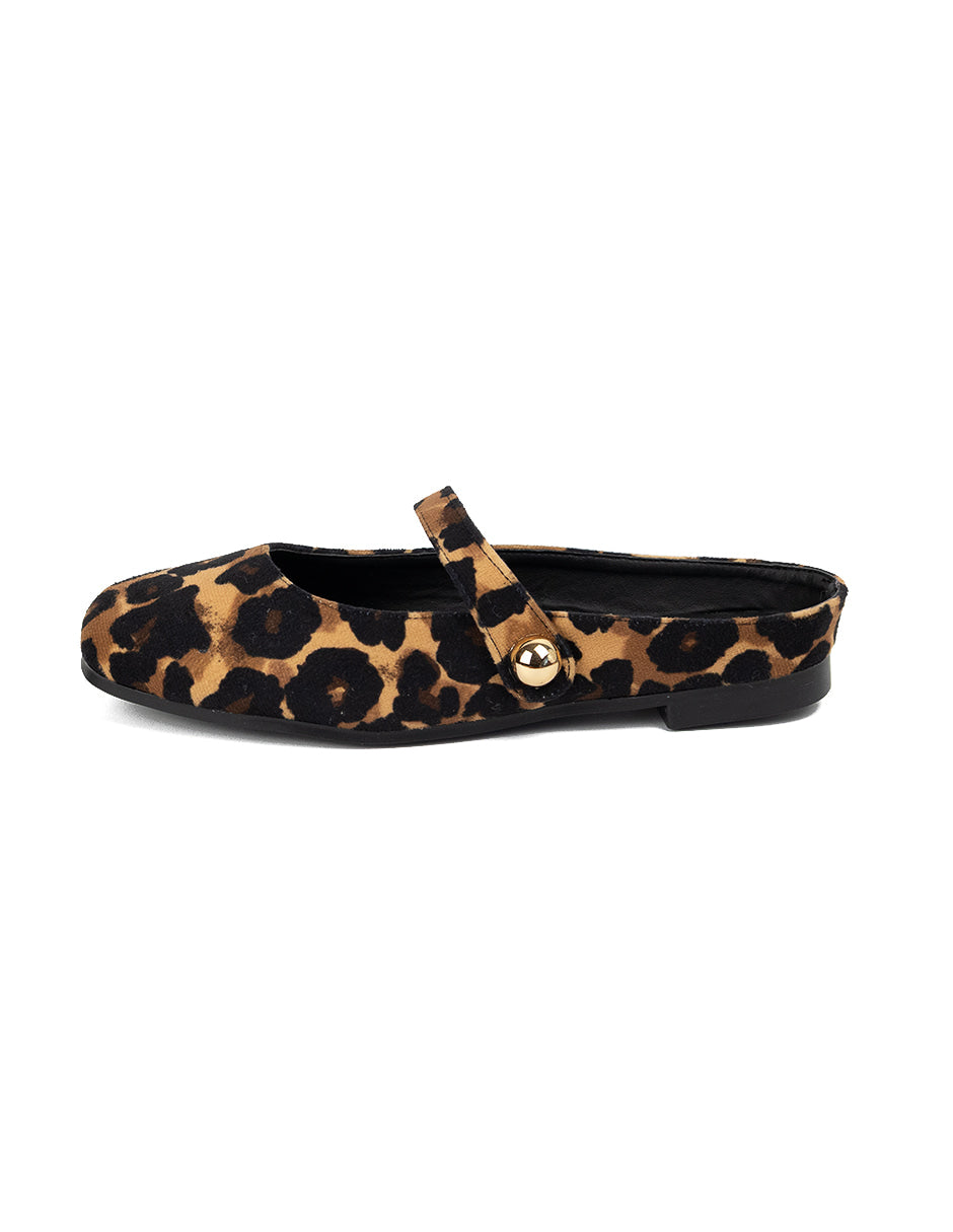 Toledo Leopardo